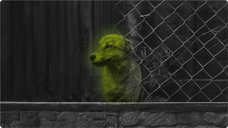 Clean-up / VFX Paint - G3D Studio VFX Service
